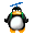 Salut salut! Pingouin